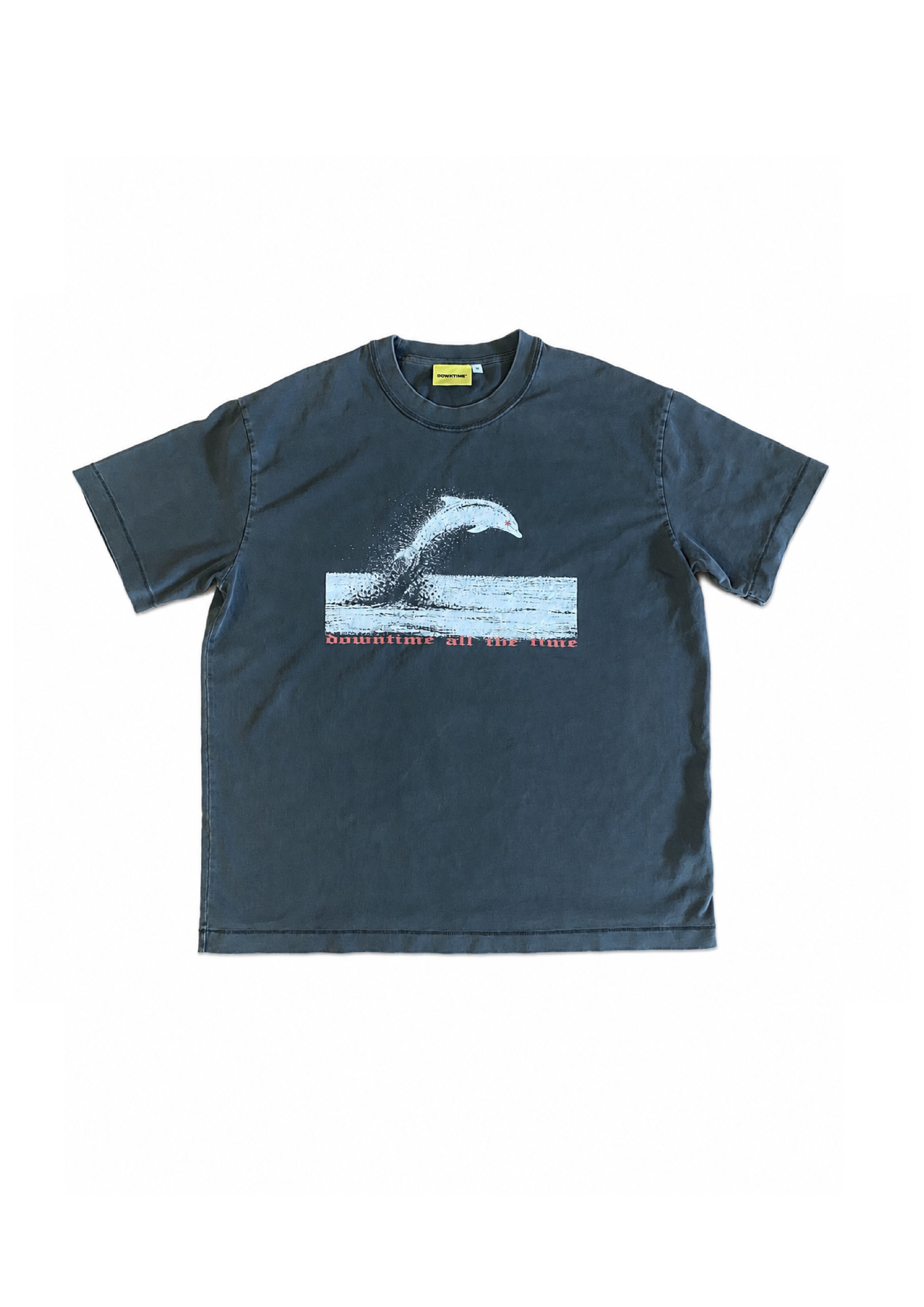 DOLPHIN DIVE BOX TEE